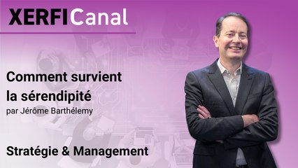 Comment survient la sérendipité [Jérôme Barthélemy]