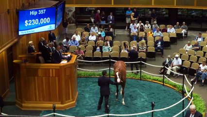 NYTB Commercial for TDN Writers' Room