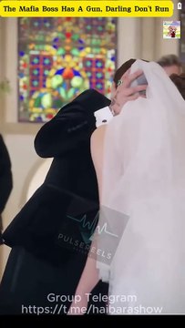 The Mafia Boss Has A Gun, Darling Don't Run HIT