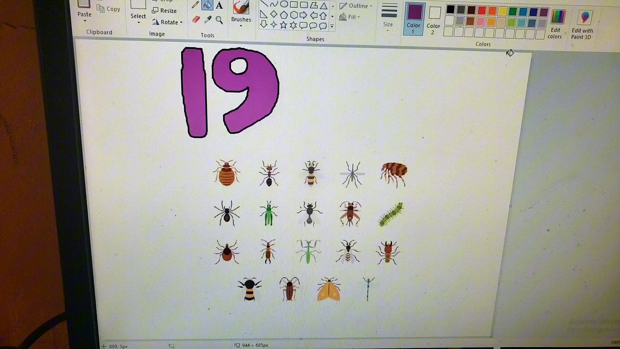 19 Bugs (2018)