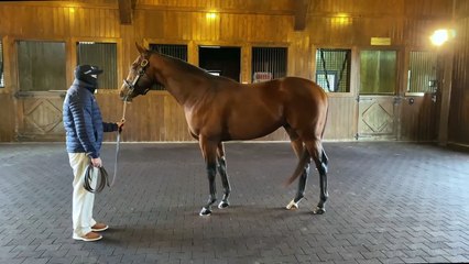 Tiz The Law 360 video