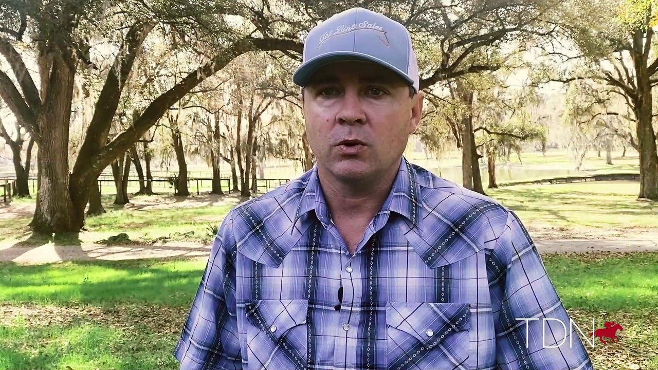 Thoughts from Ocala Part 3: Finding Value in Freshman Sires