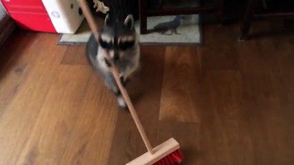 Vidéo autorisée sur mydomain.com