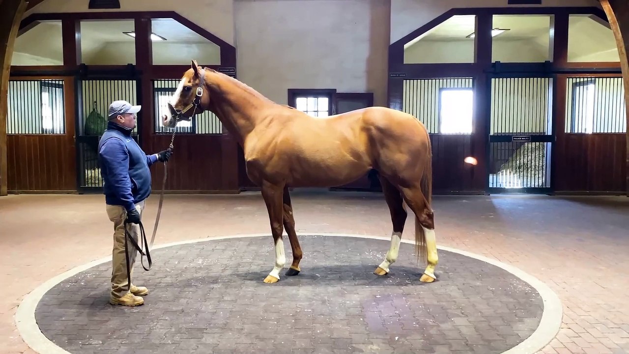 Will Take Charge 360 Video