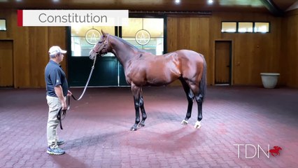 Constitution 360° Video: Explore the Foundations of Our Nation 🇺🇸