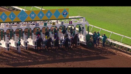 Lane's End - Catalina Cruiser