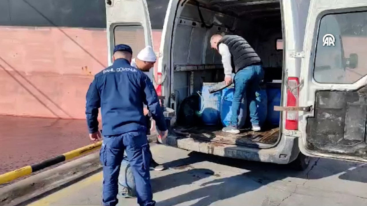 İzmir'de kaçak avlanan 600 kilogram deniz patlıcanı suya bırakıldı