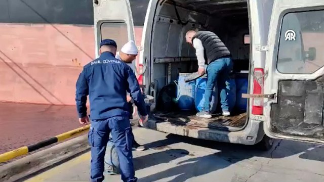 İzmir'de kaçak avlanan 600 kilogram deniz patlıcanı suya bırakıldı