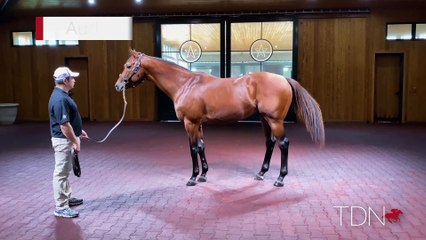 Audible 360 Video Experience 🎧