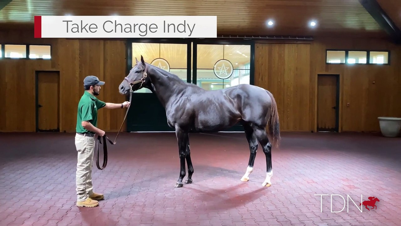 Take Charge Indy 360 Video
