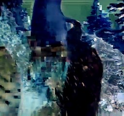 Lion Attack Man in jungle