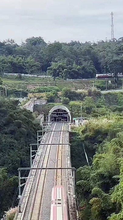 Kereta api Papandayan & Kereta Cepat Whoosh kereta api berkecepatan tinggi