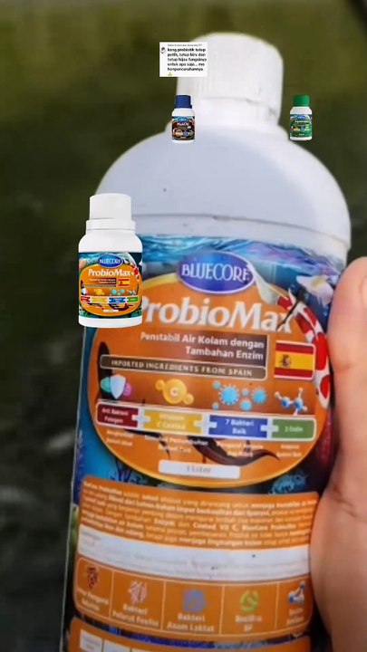 Fungsi Probiomax, Maxoil, Dan Aquacure Untuk budidaya ikan lele