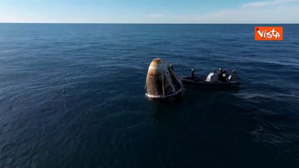 Delfini nuotano intorno alla capsula Space X subito dopo l'ammaraggio in Florida