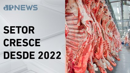 Abates de bovinos, frangos e suínos batem recorde no Brasil em 2024