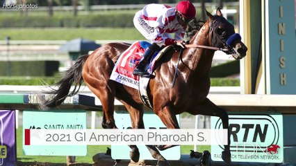 Corniche Prepares for His Spa Debut