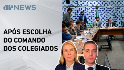 Câmara vai instalar comissões permanentes da Casa nesta quarta (19); Deysi e Beraldo comentam