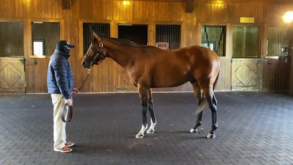 Experience Unmatched Safety with Maximum Security 360° Video 🚨