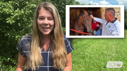 TDN-202208-v1-TDNtv-Promo-August-16