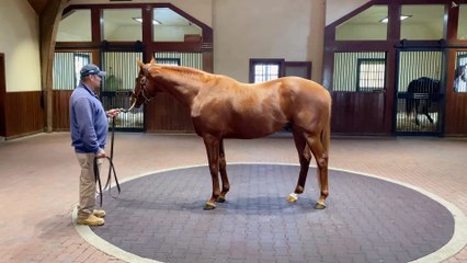 Gun Runner 360° Video Experience