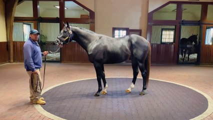 Experience the Amazing Sharp Azteca 360° Video 🌟