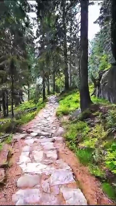 Beautiful Nature Video in 4K