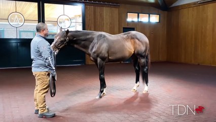 Experience the Good Samaritan in 360° — A Heartwarming Virtual Journey 🌍