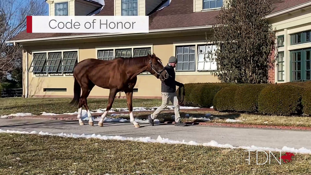 Code of Honor