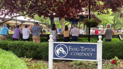 Hip 247: Wynnstay Sales’ Tim Hamlin on their Arrogate filly that sold for $400,000.