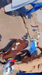 High-Quality Goet Video 🎥