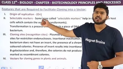 Cloning vector class 12 biology by magnet brain