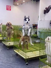 Who taught you to sit like this?