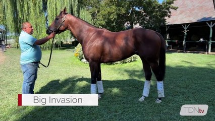Tyle Gaffalione Joins the TDN Writers' Room