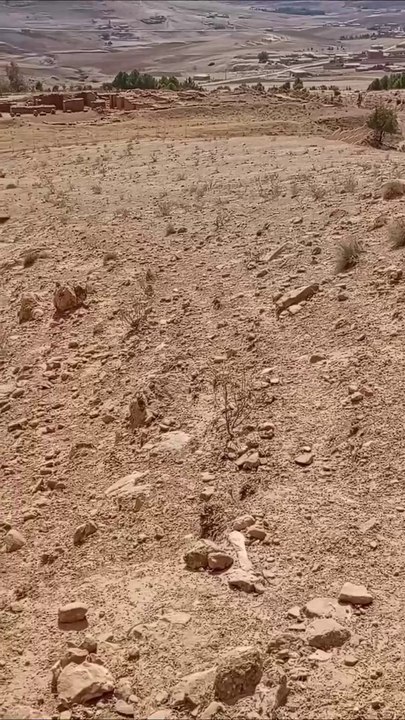 الذين آمنوا و عملوا الصالحات