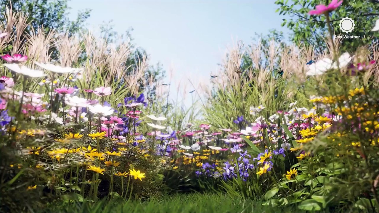 Insect alert: What creepy crawlies to look out for this spring