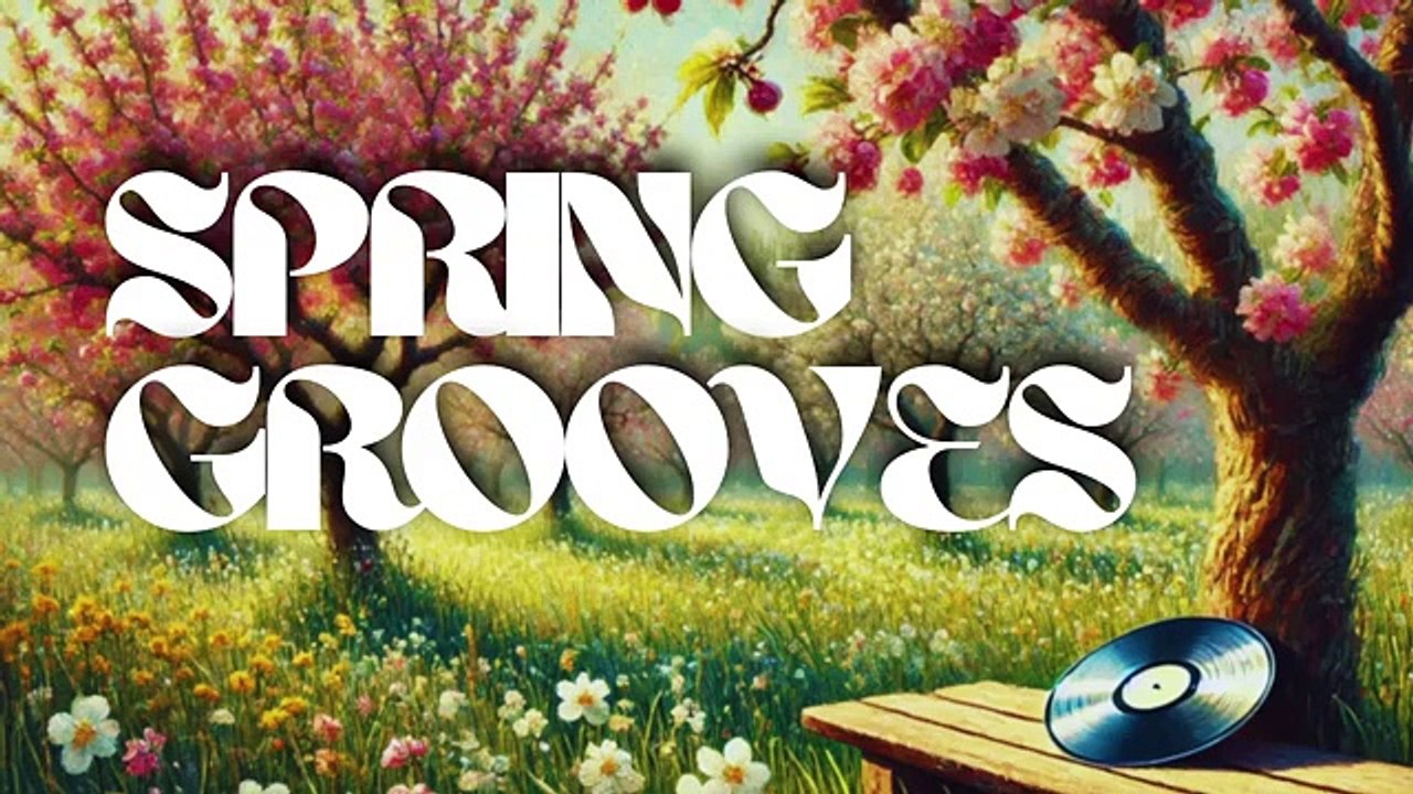 Funky Disco House Music 2025 (DJ Mix)