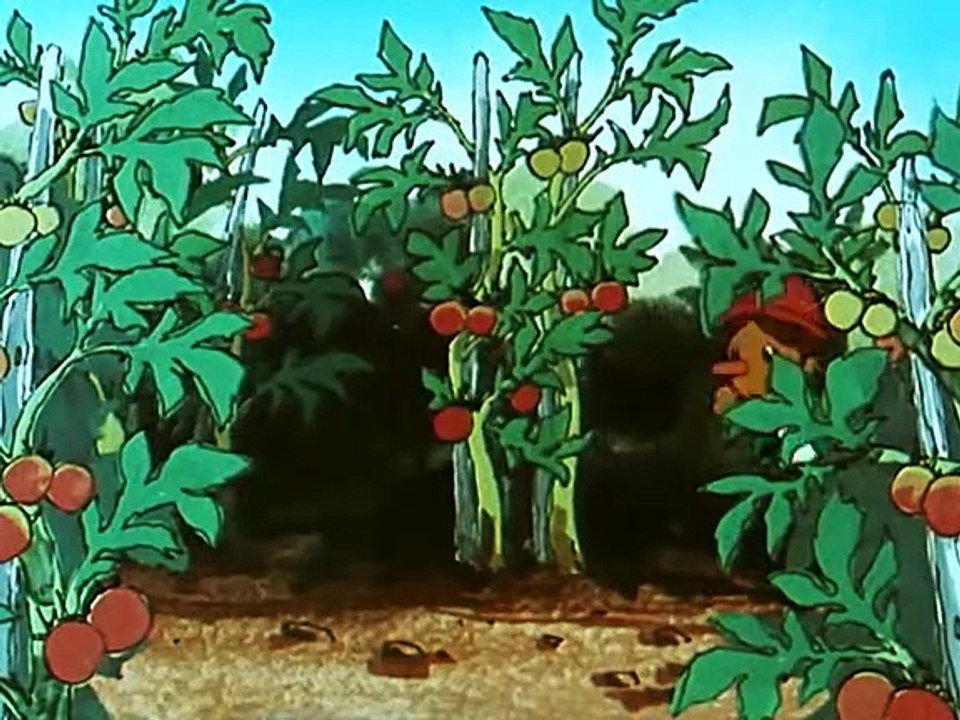 Pinocchio (1976)  E24