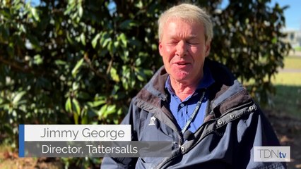 Pearls Galore A Gem For The Future