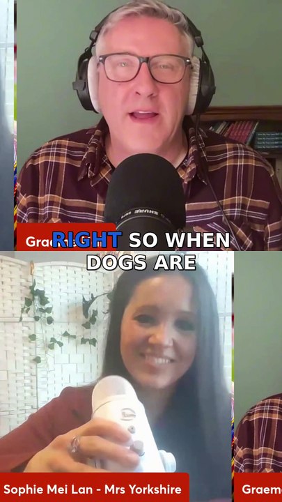 Dogs Behaving (Very) Badly's Graeme Hall on Yorkshire, dogs and working at Weetabix