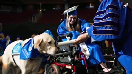 "WHEN NATURE HITS BACK! Tree Impales Car in CRAZIEST Way!"
