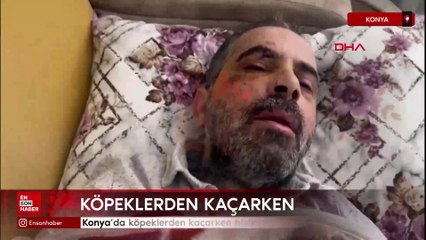 Konya’da köpeklerden kaçarken bisikletten düşüp, yaralandı