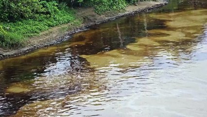 Emergência declarada no Equador por vazamento de petróleo