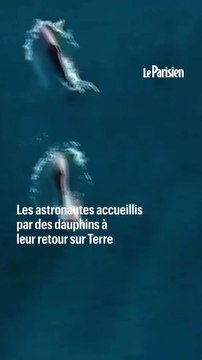 Des dauphins pour le retour des astronautes sur Terre