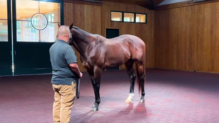 Explore Nashville in 360° Video 🎥