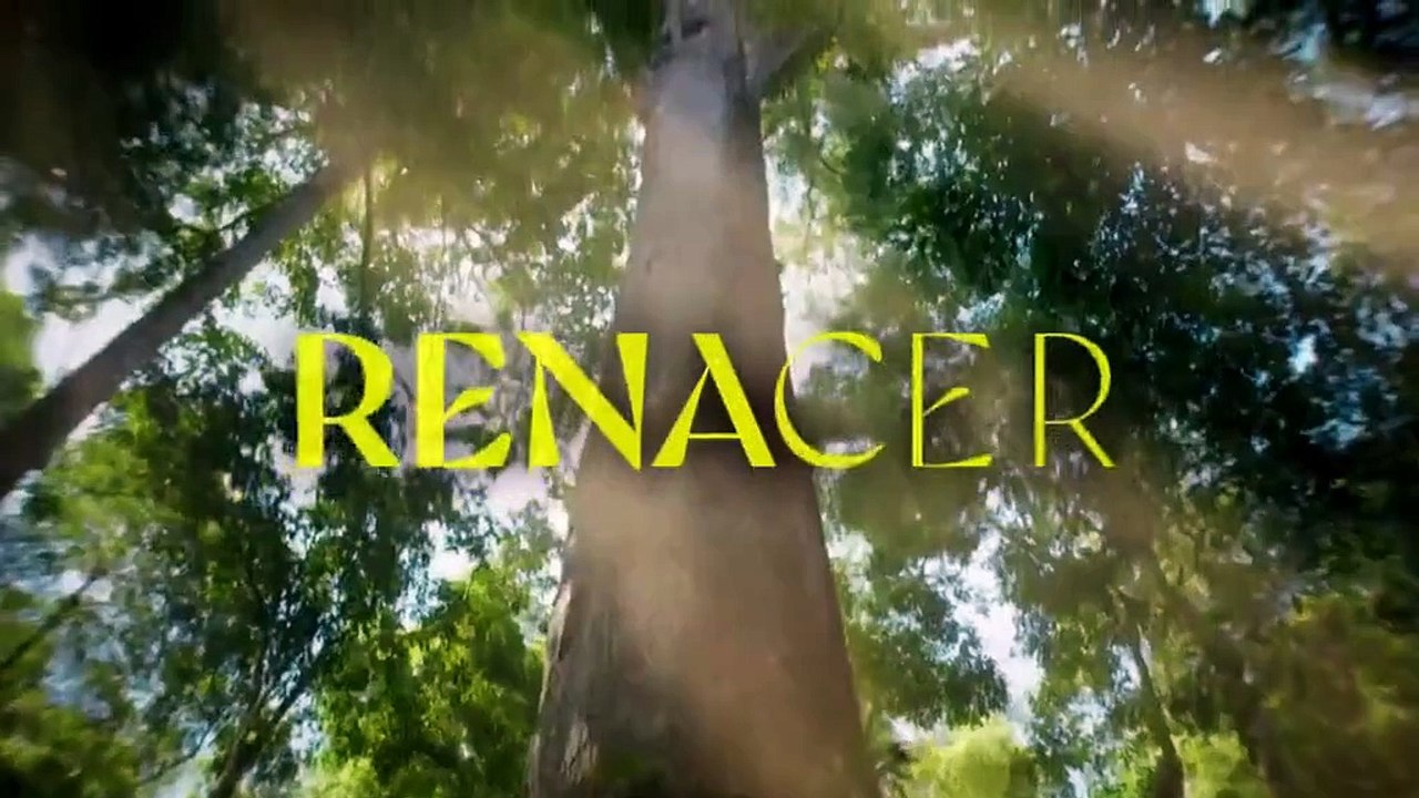 Renacer   Cap 157