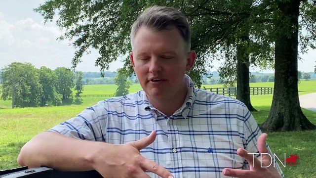 Momentum Builds for Yearlings By Champion Vino Rosso