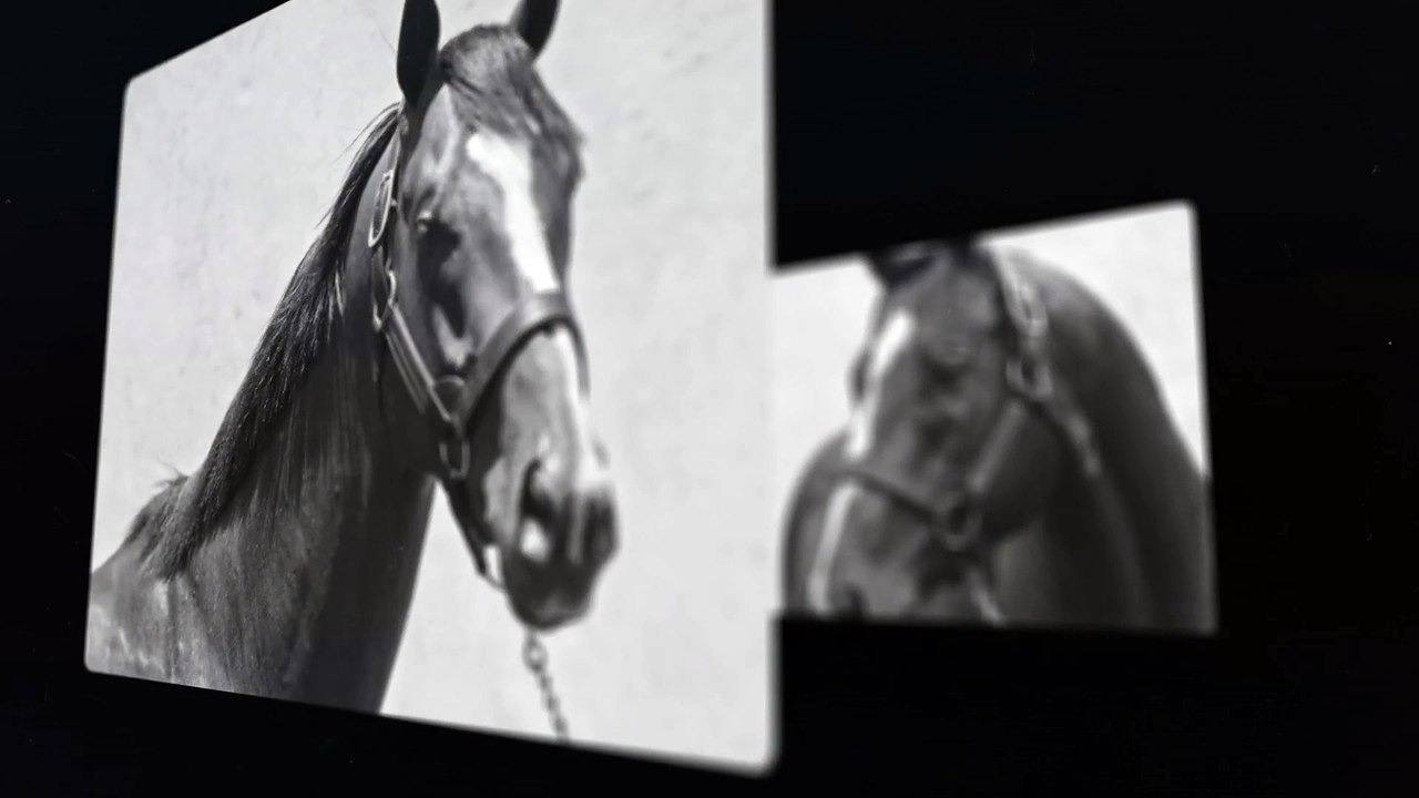 Into Mischief: The Now Sire