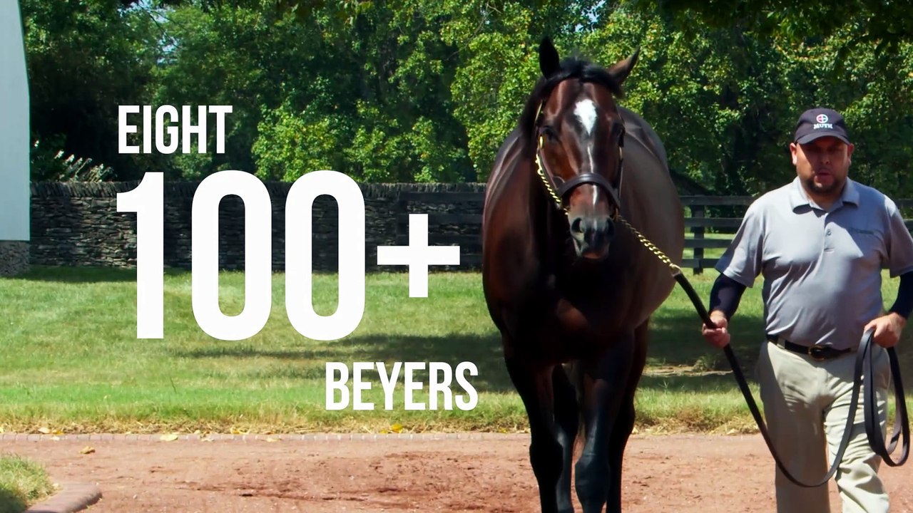 Gainesway - Olympiad