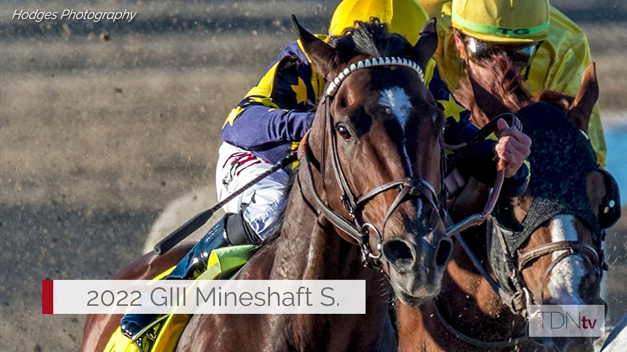 Classic Runner-Up Olympiad Attracts Breeders at Gainesway