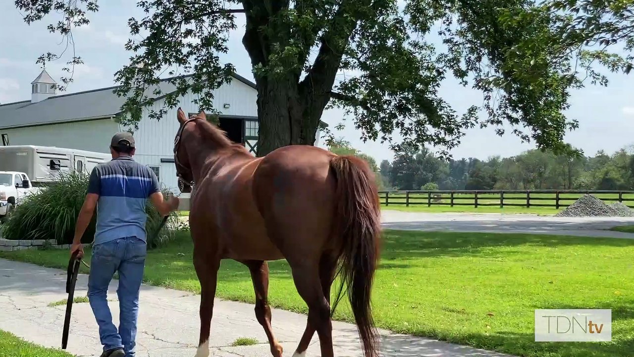 Irish War Cry